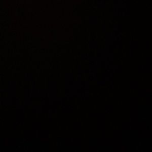 Meet your Posher, Ava